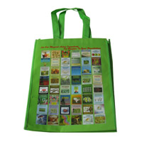 常州LB11覆膜无纺布广告袋